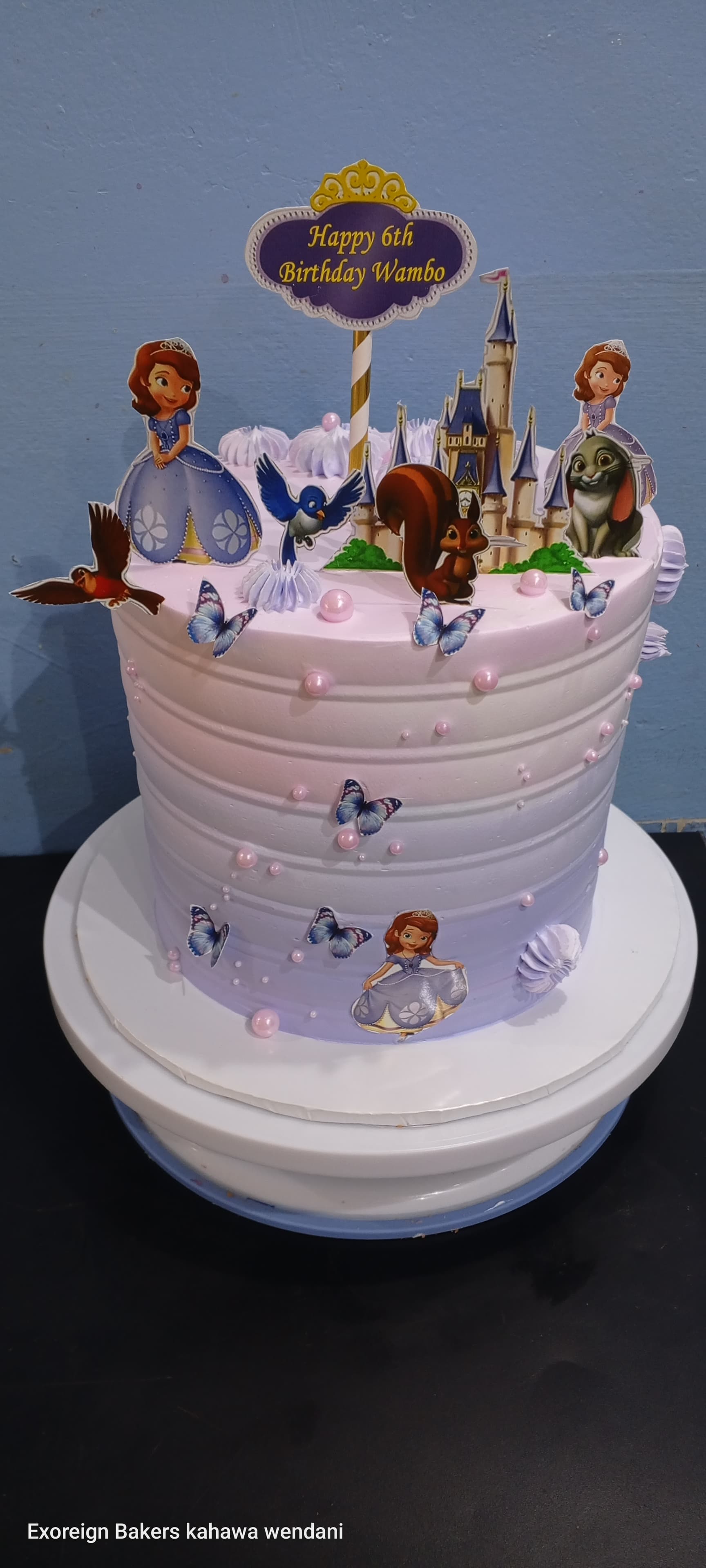 Customized Themed cakes/kg 5