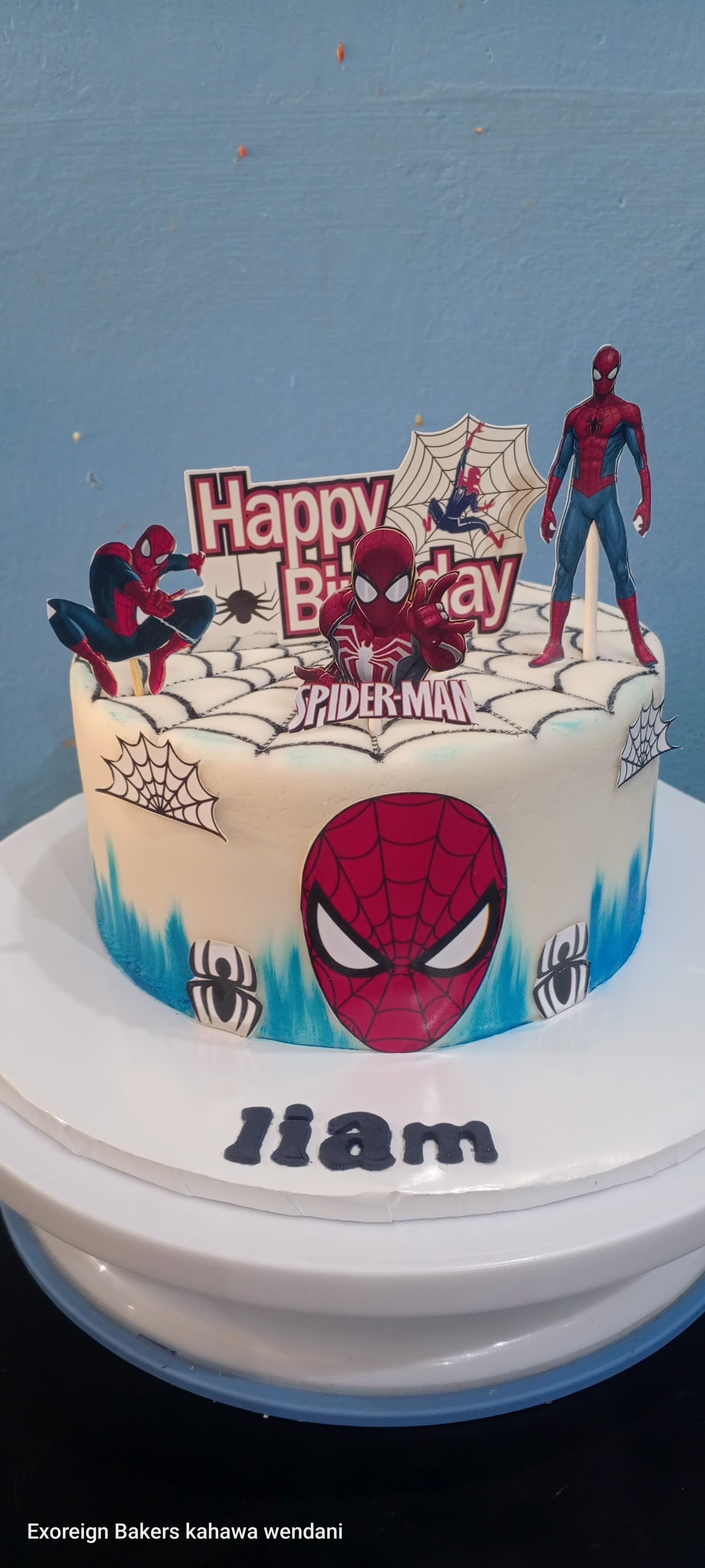 Customized Themed cakes/kg 8