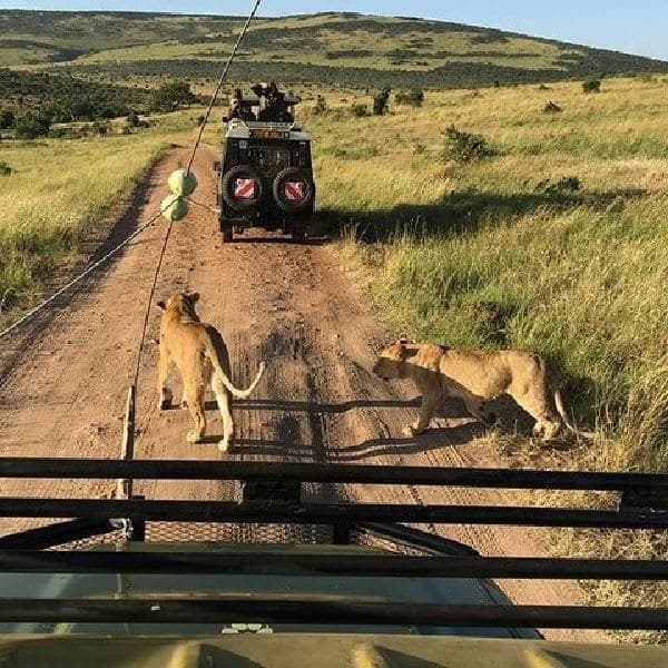 MAASAI MARA (3 DAYS / 2 NIGHTS) 4