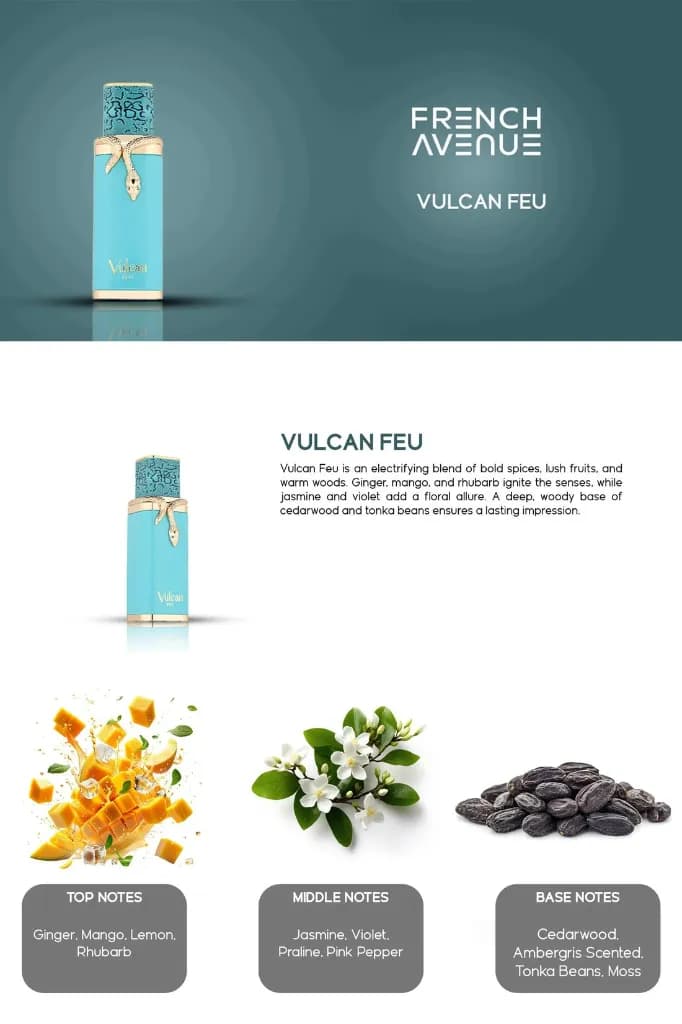 Vulcan Feu Edp 100ml French Avenue by Fragrance World 2