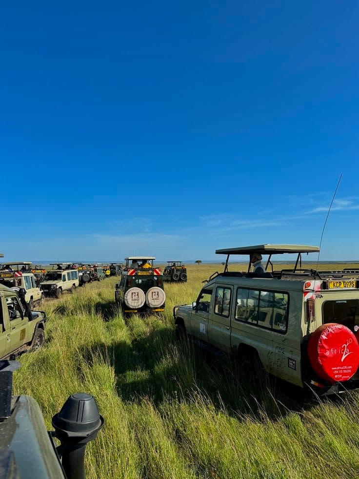 MAASAI MARA (3 DAYS / 2 NIGHTS)