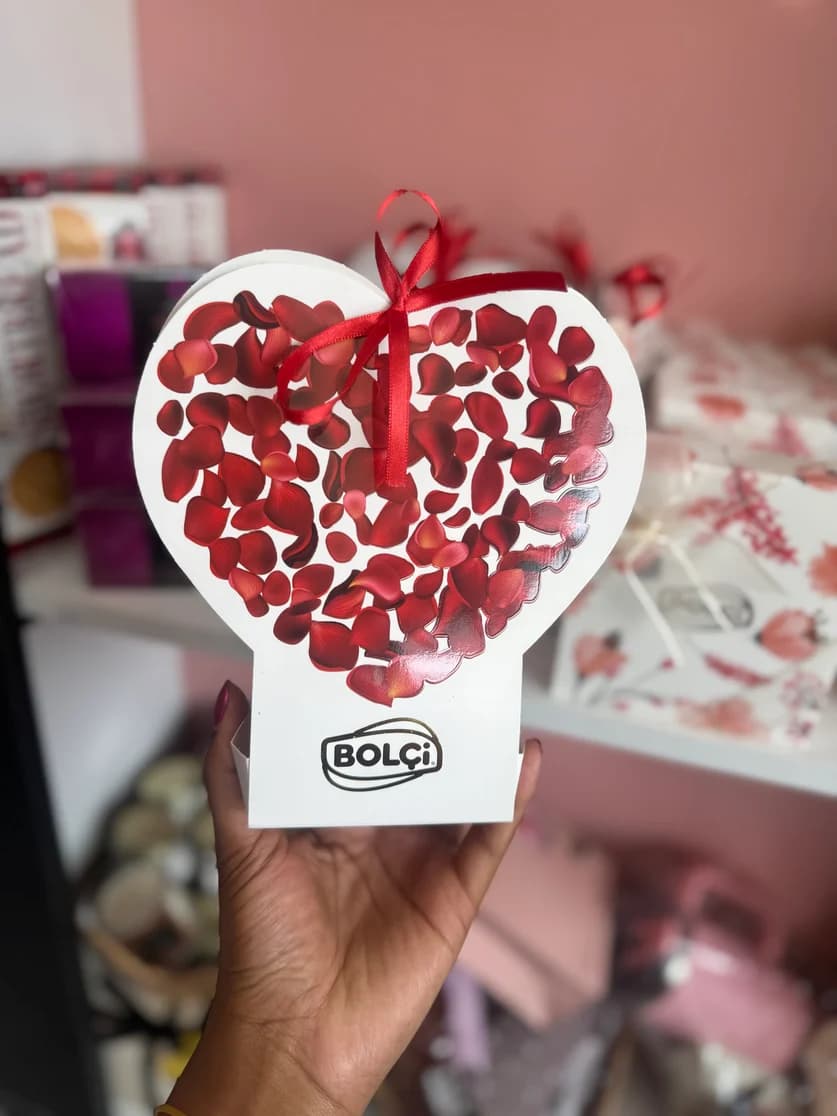 Bolci-love