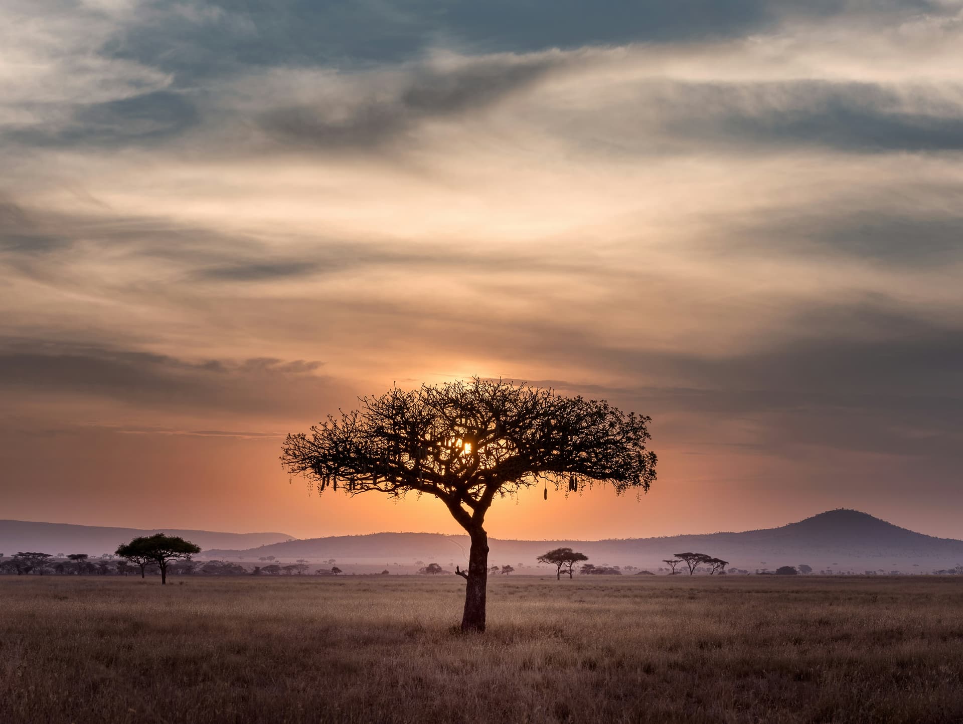 Maasai Mara Tiered Adventure
