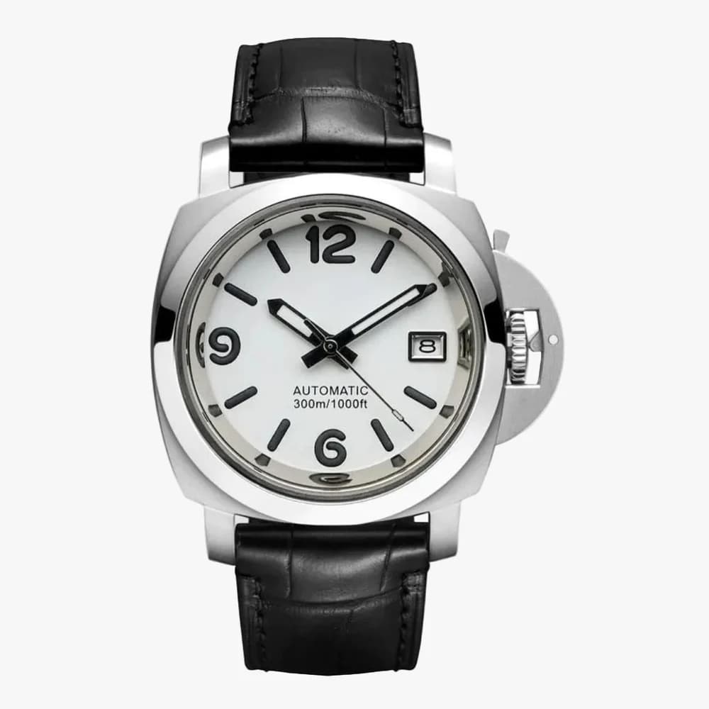 CUSTOM PANEIKO REGATTA MOD FROST SEAL EDITION
