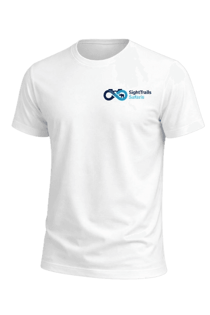 Quality Cotton T-Shirt