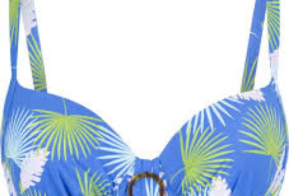 LINGADORE BIKINI TOP