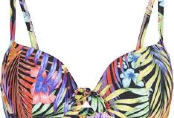 LINGADORE BIKINI TOP