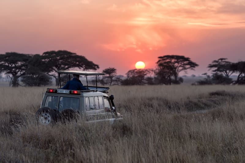 Masai Mara Luxury Safari
